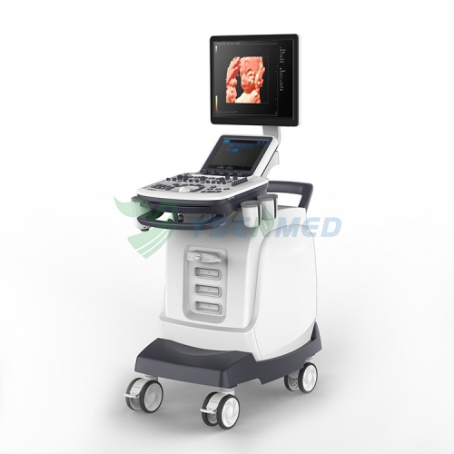 Full Digital Color Doppler Ultrasound With 4D Image System YSB Q7